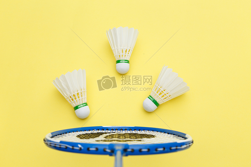 教练与球员 教练与球员