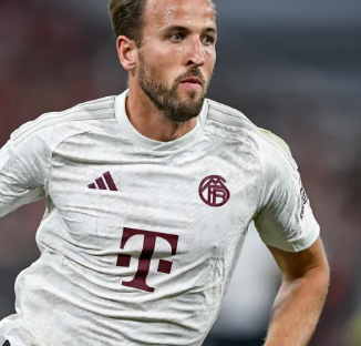 的首轮秀抓 的首轮秀抓