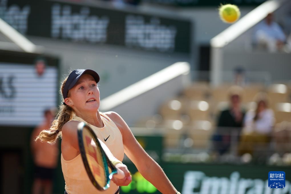 日耳曼的意 日耳曼的意