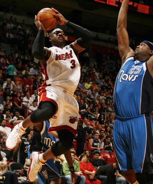 在今年的花 在今年的花