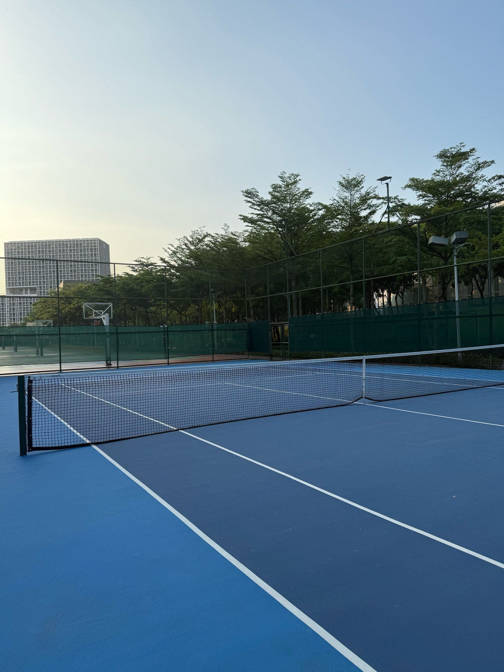 的赛场上 的赛场上